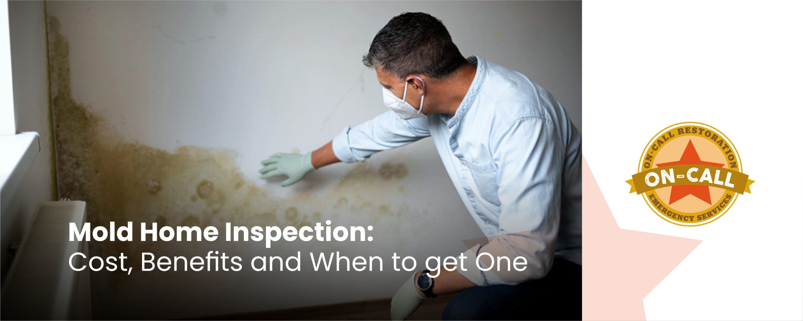 Mold Home Inspection: Cost, Benefits and When to Get One